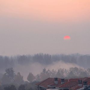 在线播放妃光莉妃ひかり
