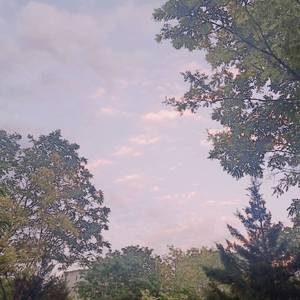 在线播放妃光莉妃ひかり
