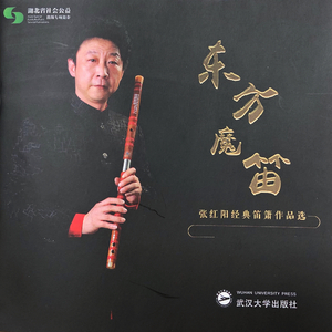 在线播放妃光莉妃ひかり
