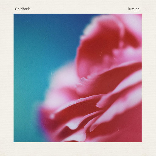 在线播放妃光莉妃ひかり
